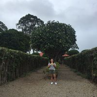 Fotos de Carmen Maria Reynaga