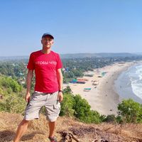 Vladimir Berezovsky的照片