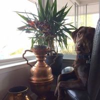 Christopher Towers's Photo