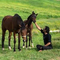 mehdi moeini's Photo