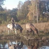 Barbara  Thonnon的照片