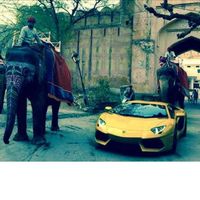 Shakeb Ansari's Photo