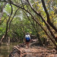 Athira R Nath's Photo