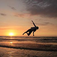 Mushroom Cheng's Photo