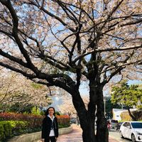 Inola Stoffer的照片