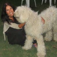 Brenda Hibdon's Photo