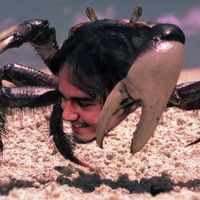 Ravi Novaes的照片