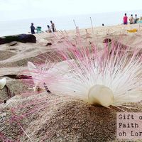 Klara Lorenza's Photo