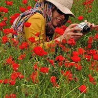 Toktam Tajian's Photo