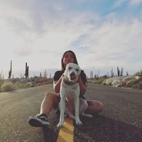 Michelle Fifer的照片