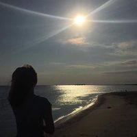 Yasaman Dehghan的照片