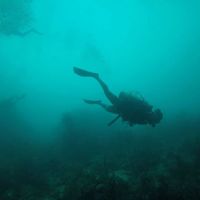 Brian Fabián's Photo