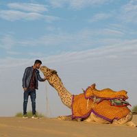 Dilbar jaisalmer's Photo