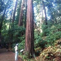 Christopher Horruitiner的照片