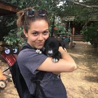 Fotos de Petra Balsley