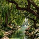 We Want To Host You's picture