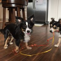 Photos de Gil Barden