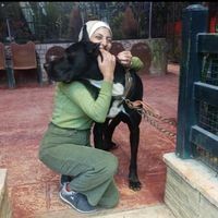 Shahed Nader's Photo