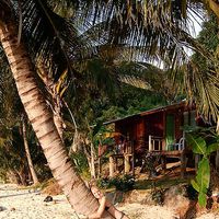 Meike Brandt's Photo