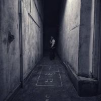 Ashil Kazemy's Photo