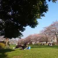 Mayuka Takemura's Photo