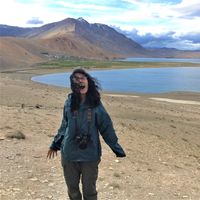 Alex  Nguyen的照片