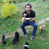 Emir Cosovic的照片