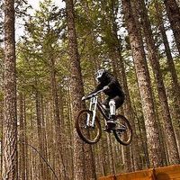 Kelly Northcutt的照片