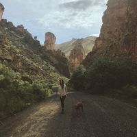 Sarah Shamblin's Photo