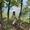 Salman Malik's Photo
