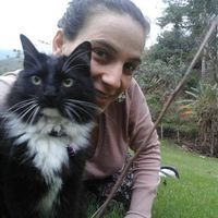 Joyce Pereira的照片