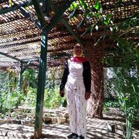 Hadeya Zerar's Photo