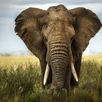 alex raskin的照片