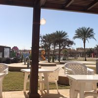 Amira Abdelfattah的照片