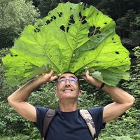 COSMAS PLOUTARCHOU的照片