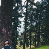 Gantavya Sehgal的照片