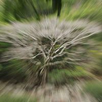 Emma Duboue的照片