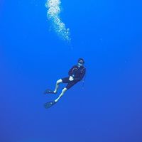 Kevin Connelly's Photo