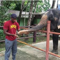 Nicholas St. Ange的照片