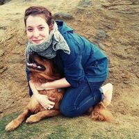 Fotos de Heidi Livingston