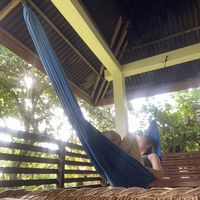 Tasia Halim的照片