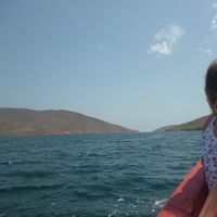 Irene Rojas的照片