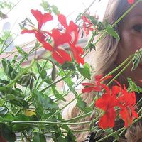 Fotos de Lili Jungmann