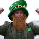 Saint Patrick's Day 's picture