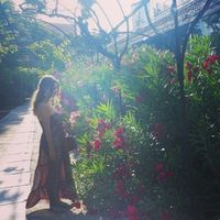 Nieves Rodriguez的照片