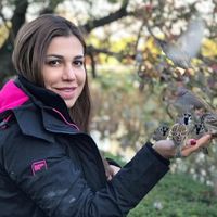 Marjan Alishahi's Photo