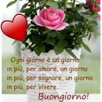 anna girone的照片