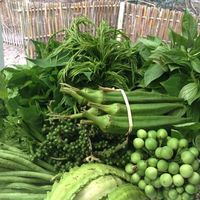 Chiang Mai Deli的照片