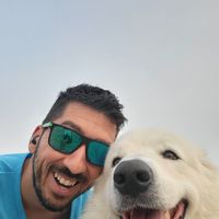 Tamas Vermeki的照片