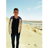 Mohamed Omara的照片